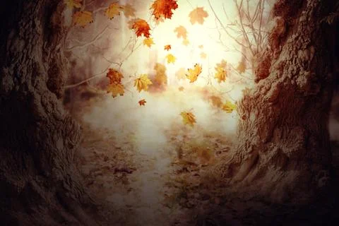 Fall Leaves and Old Trees Stock Illustration