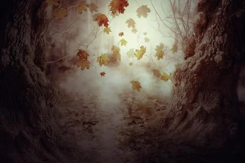 Fall Leaves and Old Trees Stock Illustration
