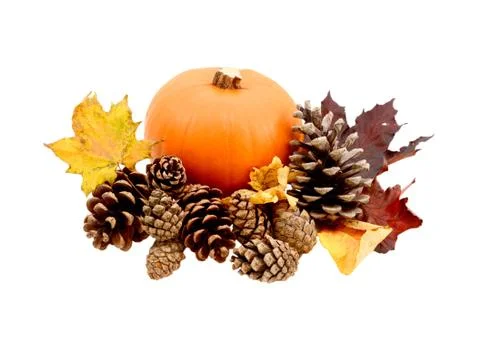 Fall leaves and pine cones with a ripe pumpkin Stock Photos