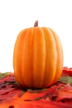 Fall leaves and pumpkin Stock Photos