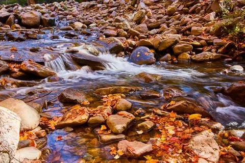 Fall leaves and small rocks along serene river creek low angle 스톡 사진