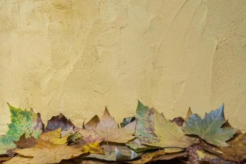 Fall leaves and the wall as a background Stock Photos