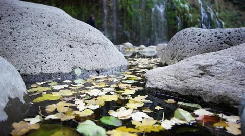Fall Leaves and Waterfall Stock Footage 60258832