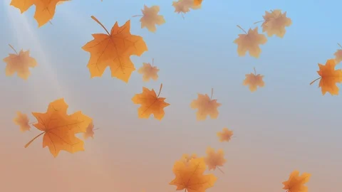 Fall Leaves Animated Backdrop with 4 transitions Stock Footage 124648673