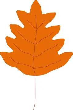 Fall leaves. Autumn leaf. Vector イラスト素材