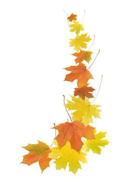 Fall leaves border Stock Photos