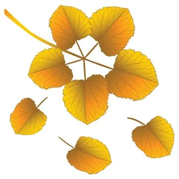 Fall Leaves on Branch Stock Illustration