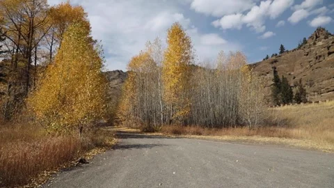 Fall leaves with a camper Stock Footage 155115847