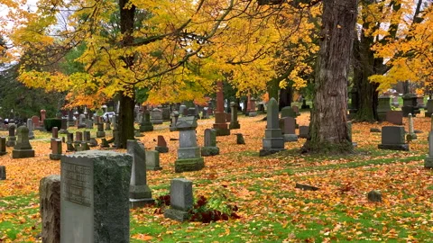 Fall Leaves Cemetery Graveyard Tree Landscape Background, Autumn Foliage Stone Stock Footage 146813876