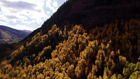 Fall Leaves Changing Color in Vail Colorado Video stock 252158112