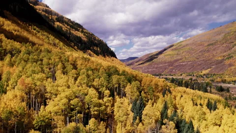 Fall Leaves Changing Color in Vail Colorado Stock Footage 252158138