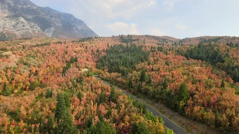 Fall leaves changing colors along the road through the mountains Stock Footage 139662450