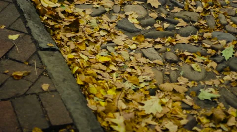 Fall Leaves On Cobblestone Street Video stock 53526380