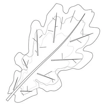 Fall Leaves Coloring Page Stock Illustration