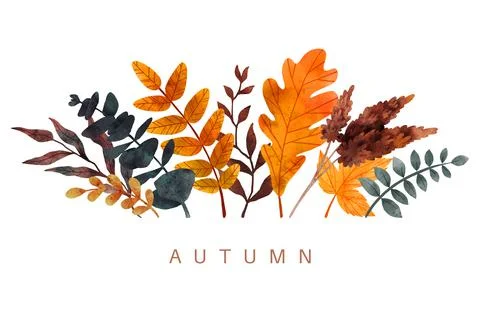 Fall leaves composition, hand drawn vector watercolor Stock Illustration