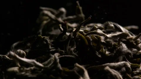 Fall leaves dried tea Видео 71754173