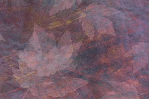 Fall Leaves DV 動画素材 362695