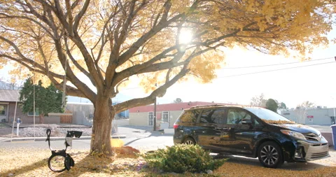 Fall Leaves Falling off Urban Homes Tree with Van in Driveway Stock Footage 317879204