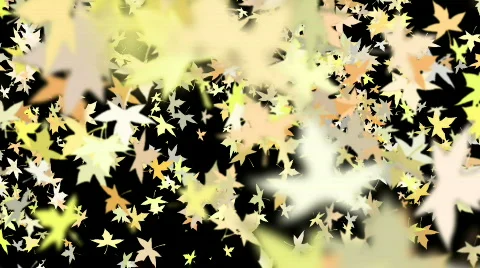 Fall Leaves Video stock 157767