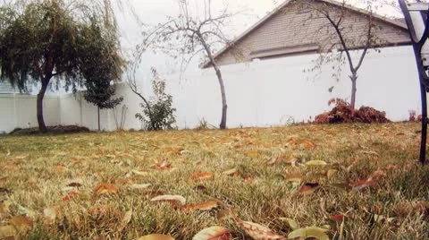 Fall Leaves Stock Footage 9463726