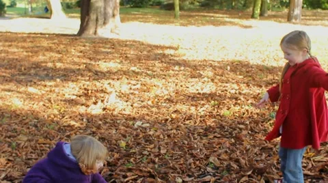 Fall leaves Stock Footage 22664908