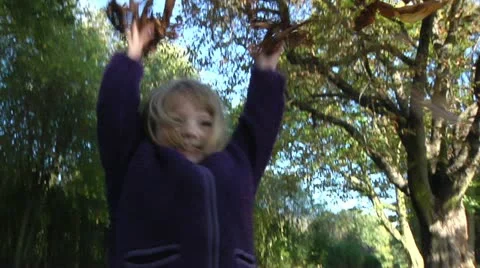 Fall leaves Stock Footage 22664924