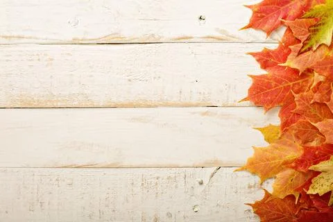 Fall leaves frame on whooden background 写真素材