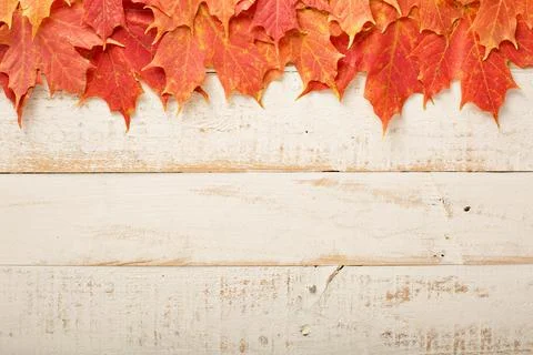 Fall leaves frame on whooden background 写真素材
