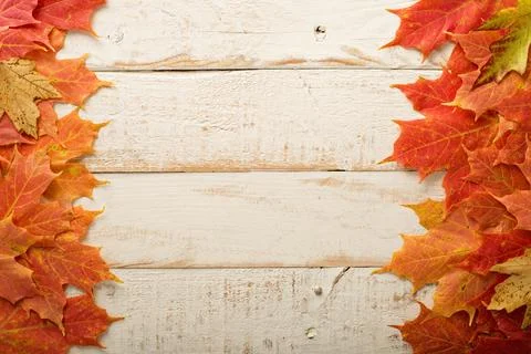 Fall leaves frame on whooden background 写真素材