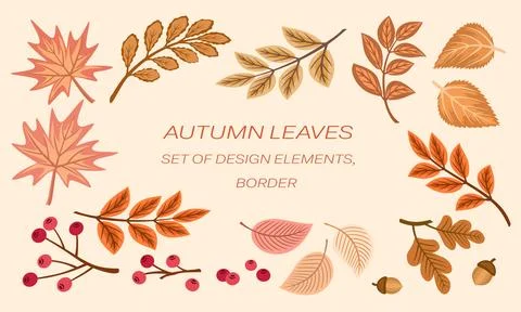 Fall leaves frame on yellow background イラスト素材