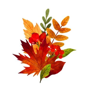 Fall leaves, hand drawn vector watercolor illustration Stock Illustration