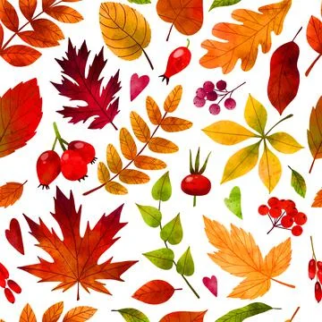 Fall leaves, hand drawn vector watercolor illustration Stock Illustration