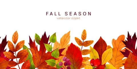 Fall leaves, hand drawn vector watercolor illustration Stock Illustration