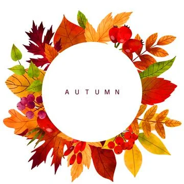 Fall leaves, hand drawn vector watercolor illustration Stock Illustration
