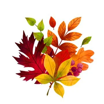 Fall leaves, hand drawn vector watercolor illustration Stock Illustration