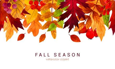 Fall leaves, hand drawn vector watercolor illustration Stock Illustration