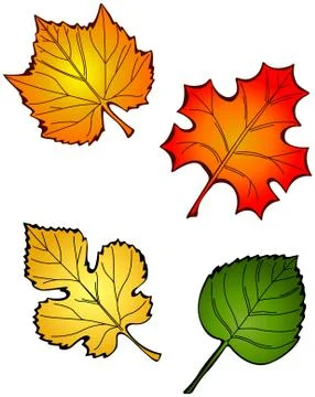 Fall leaves Stock Illustration