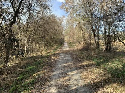 Fall leaves on the Katy Trail  Stock Photos