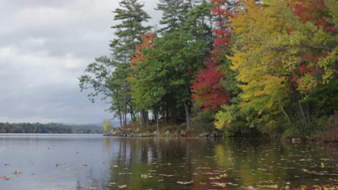 Fall Leaves on Lake - Push In Stock Footage 163534693