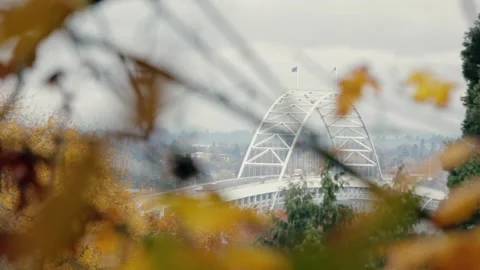 Fall Leaves Leaf Yellow Orange Bridge Travel Tourism Portland City Stock Footage 140483771