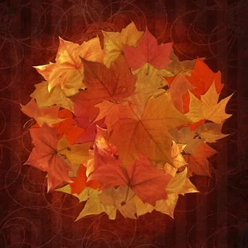 Fall leaves lot circle shape Stock Illustration
