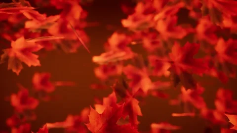 Fall Leaves in Motion Loop Animated Wallpaper Background Stock Footage 323829200