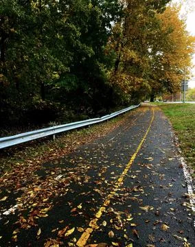 Fall leaves outside Stock Photos