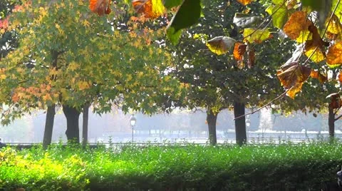 Fall leaves in Paris Stock-Footage 12652522