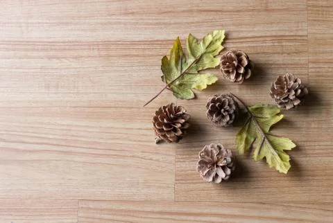 Fall leaves Stock Photos