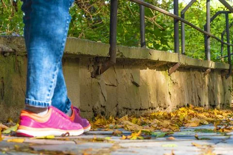Fall, leaves, Stock Photos