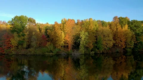 Fall Leaves Reflecting on a Lake 4K Drone Shot Stock Footage
