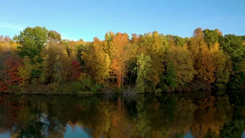 Fall Leaves Reflecting on a Lake HD Drone Shot Stock Footage 160084769
