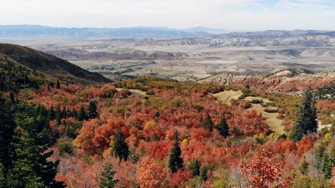 Fall leaves in the rocky mountains Stock Footage 97130579