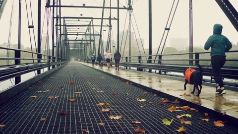 Fall Leaves running on Bridge Stock Footage